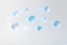 AI知识库的建设流程包括哪些关键环节？-Raccoon