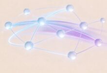 如何通过个性化分析提升产品创新能力？-Raccoon