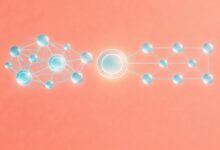 文档语义分析AI工具推荐-Raccoon