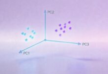 AI制定工作方案的模板-Raccoon