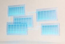 个性化信息分析在金融行业的应用-Raccoon