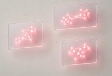 智能任务规划系统搭建方法，企业版指南-Raccoon