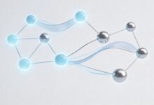 网络数据分析工具推荐：流量监控、行为追踪、转化优化-Raccoon