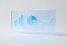 基于数据分析的个性化方案生成流程解析-Raccoon