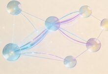 如何制定个性化计划以提升个人效率?-Raccoon