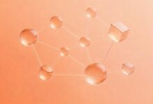 信息整合 framework？-Raccoon