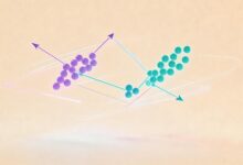 AI富文本分析 API 哪个稳定？-Raccoon