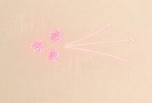 市场调研数据的智能分析方法有哪些？新手入门指南-Raccoon