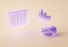 知识库搜索算法比较与优化策略-Raccoon