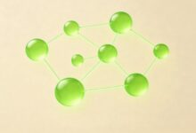 AI制定执行计划的关键？-Raccoon