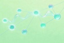 个人知识库与AI资产管理的融合趋势-Raccoon