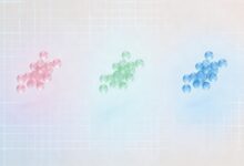 AI工作方案被领导否决怎么办？优化策略-Raccoon