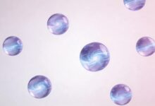 办公文本自动化分析技巧-Raccoon