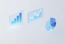 网络用户行为数据分析的隐私保护与合规要点-Raccoon