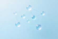 数据特征分析降维处理方法比较-Raccoon