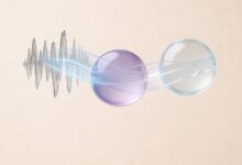 分析与改进数据闭环管理：PDCA循环在数据驱动决策中的应用-Raccoon