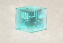 大模型分析信息的隐私保护措施-Raccoon