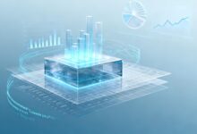 企业数智化升级案例分享-Raccoon