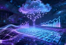 如何进行个性化分析来优化业务流程？-Raccoon