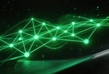 个性化生成如何实现内容的动态更新？-Raccoon