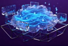 个性化分析在业务决策中的价值分析-Raccoon