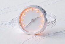 AI知识管理平台有哪些功能？企业知识管理解决方案-Raccoon