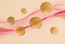 AI在知识检索中的语义匹配技术详解-Raccoon