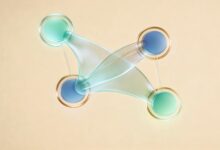 AI在知识库自动化运维中的角色是什么？-Raccoon