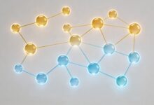 私有知识库和公有云知识库哪个好？优劣对比-Raccoon