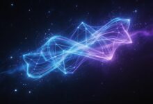 个性化方案在项目管理中的最佳实践-Raccoon