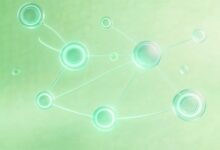 为什么企业需要进行数智化升级？-Raccoon