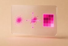 AI解生物题细胞结构识别准确吗？图像结合文字-Raccoon