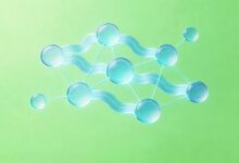 知识管理系统的功能模块有哪些-Raccoon