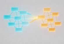 如何进行个性化分析提升业务决策？-Raccoon