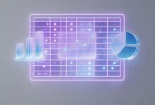 AI定方案的版本管理？-Raccoon