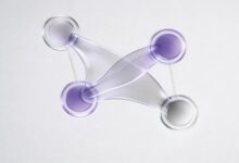 如何利用知识库实现个性化方案生成?-Raccoon