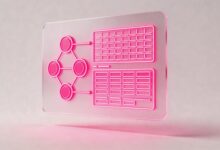 信息检索的最佳实践与案例分析-Raccoon