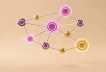 如何使用AI制定个性化计划并跟踪执行？-Raccoon