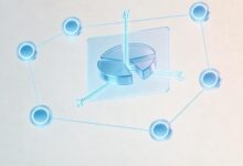 企业如何通过个性化计划提升项目交付效率？-Raccoon