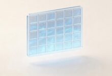 AI能准确解答文言文阅读理解吗？-Raccoon