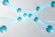 AI数据预测与传统预测方法相比有哪些优势？-Raccoon