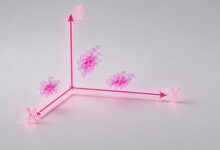 哪个AI知识管理平台最适合团队协作？-Raccoon