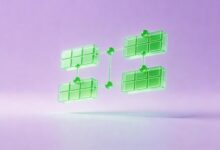 个性化数据分析的最佳实践是什么？-Raccoon