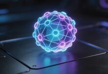 如何制定个性化计划并实现自动生成？-Raccoon