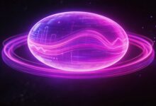 个性化分析工具推荐与使用指南-Raccoon