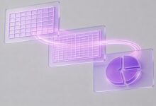 AI段落解析能提取哪些关键信息?-Raccoon