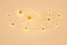 企业如何选择知识管理软件-Raccoon