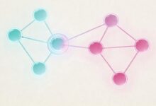 私有知识库的部署与维护要点-Raccoon