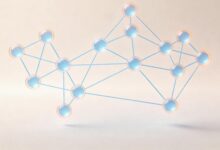 数智化升级过程中的数据治理-Raccoon