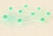 数据洞察金字塔原理MECE法则在实际中的应用-Raccoon